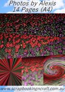 Photos By Alexis Printed Papers Pack of 14 A4 Sized Tulip Delight