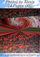 Photos By Alexis Digital Downloads Pack of 14 (A5 Sized) Tulip Delight