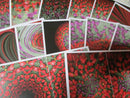 Photos By Alexis Printed Papers Pack of 14 A5 Sized Tulip Delight