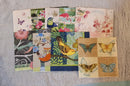 Assorted Paper Napkins (Pack of 10) Birds and Butterflies