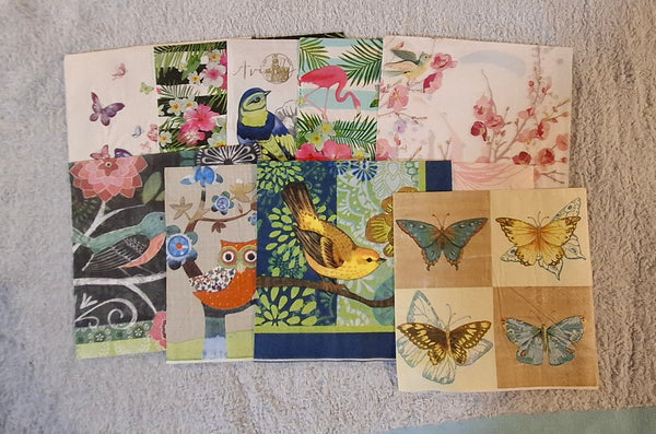 Assorted Paper Napkins (Pack of 10) Birds and Butterflies