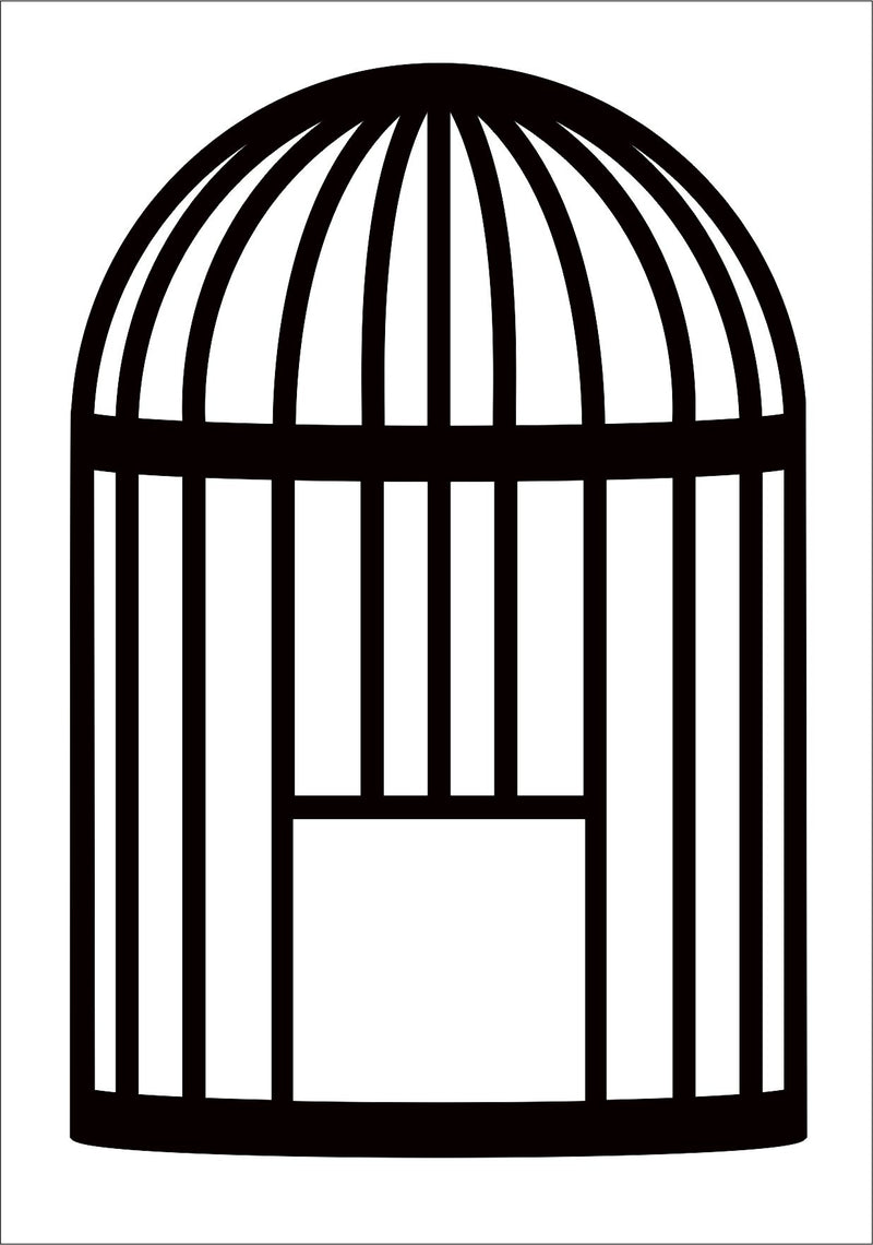 Acetate Transparency Bird Cage