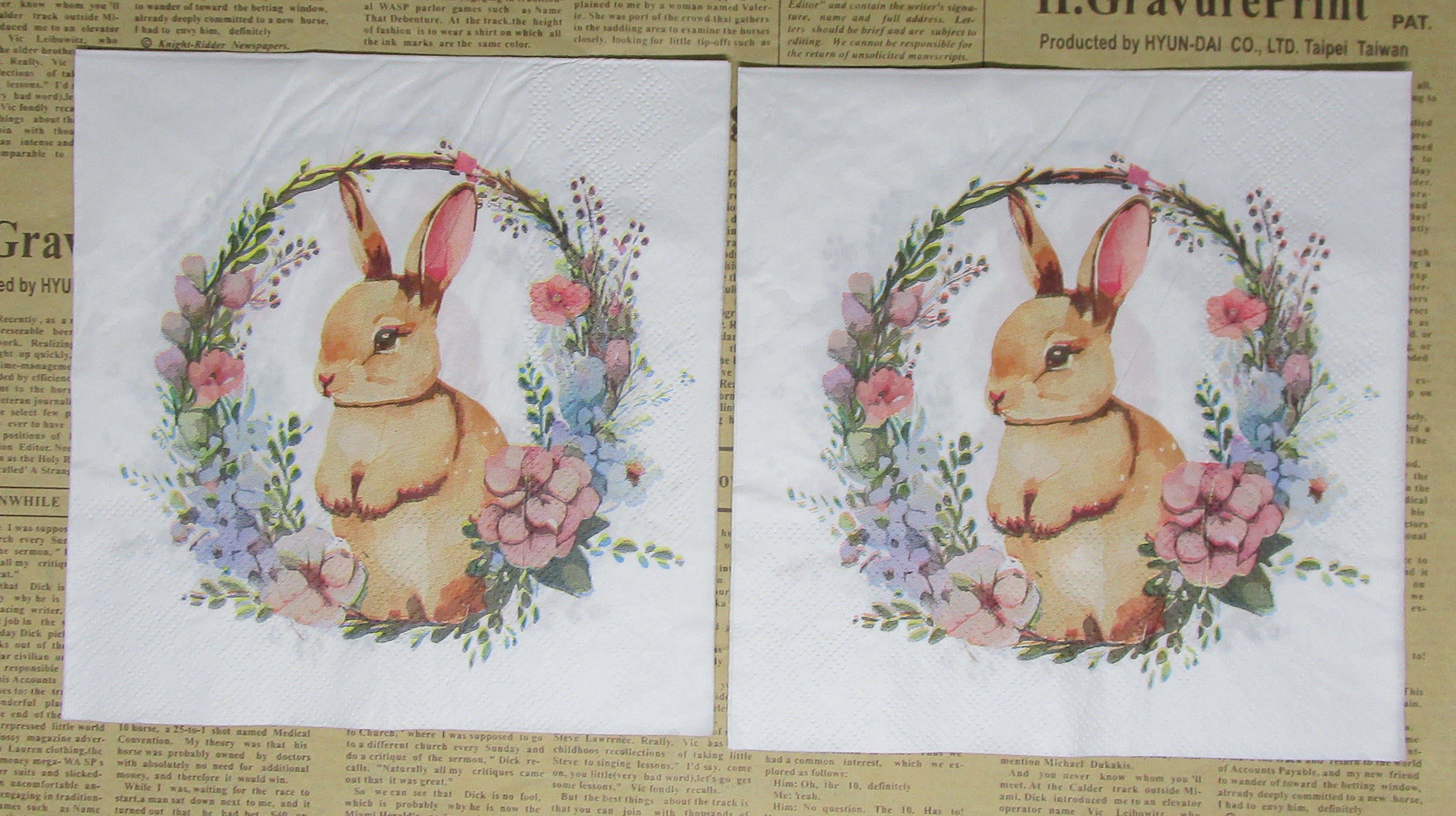 Paper Napkins (Pack of 2) Rabbit and Floral Wreath
