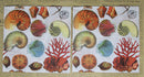 Paper Napkins (Pack of 2) Coloured Seashells Coral Beach Sea life