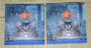 Paper Napkins (Pack of 2) Cocktail Size Cat Looking at Gold Fish Treasure Chest