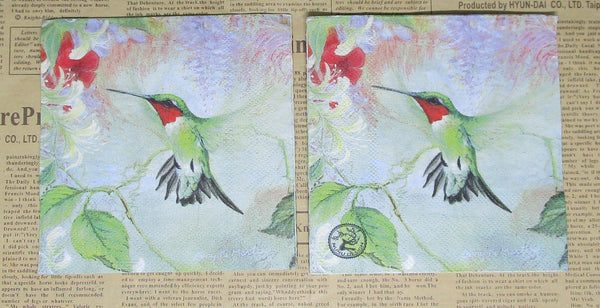 Paper Napkins (Pack of 2) Cocktail Size Red and Green Birds Humming Bird flowers
