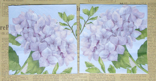 Paper Napkins (Pack of 2) Cocktail Size Blue Hydrangea Flowers Green Leaves