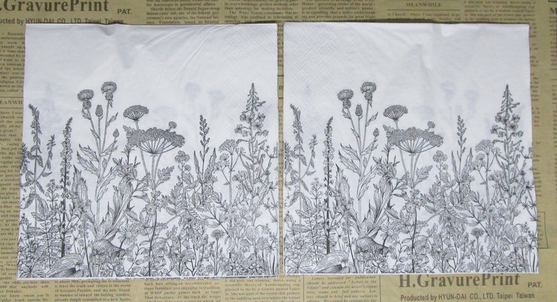 Paper Napkins (Pack of 2) Black and White Flower Garden Sketchy Flowers