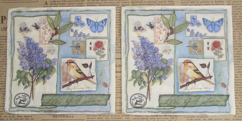 Paper Napkins (Pack of 2) Purple flowers, Butterfly Design Bird Mosaic Tiles