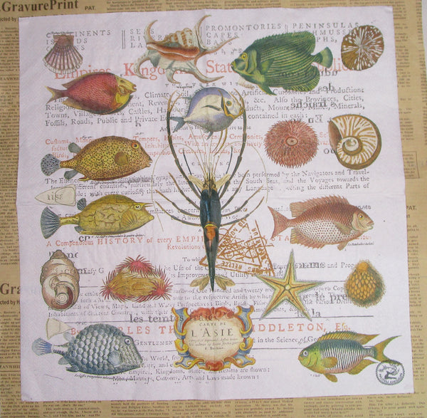 Paper Napkins (Pack of 2) Assorted Fish Coloured Fish Shells Lobster Writing