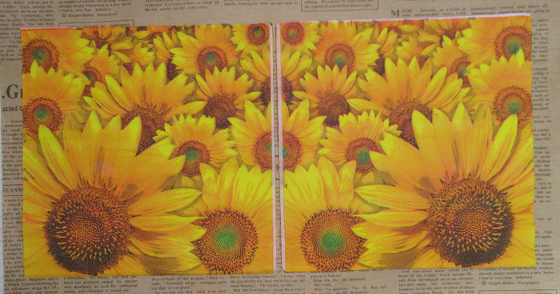 Paper Napkins (Pack of 2) Yellow Sunflowers Big and Bold