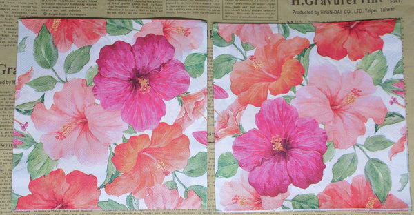 Paper Napkins (Pack of 2) Large Pinka dn Orange Hibisus flowers and Leaves