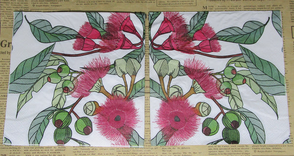 Paper Napkins (Pack of 2) Gum Leaves, Nuts and Red Flowers