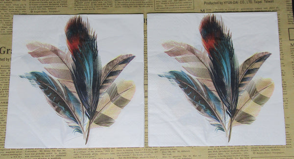 Paper Napkins (Pack of 2) Natrual Coloured Feather Cluster
