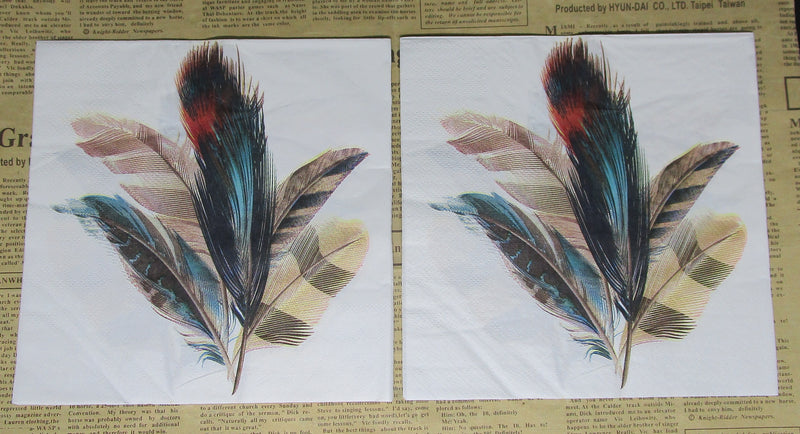 Paper Napkins (Pack of 2) Natrual Coloured Feather Cluster