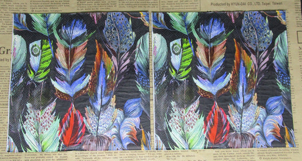 Paper Napkins (Pack of 2) Coloured Feathers Lots Of Texturers and Colours on Black