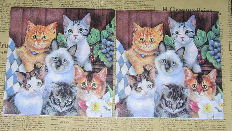 Paper Napkins (Pack of 2) Cats / Kittens Ginger Tabby Black and White