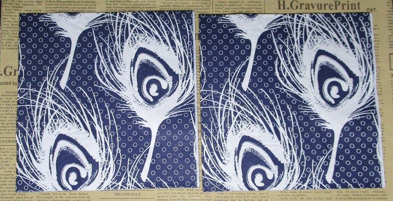 Paper Napkins (Pack of 2) Peacock Feather White on Blue Spoted Background