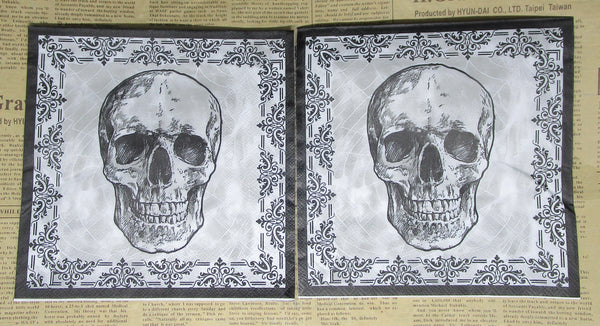 Paper Napkins (Pack of 2) Black & Grey Skull with Decorative