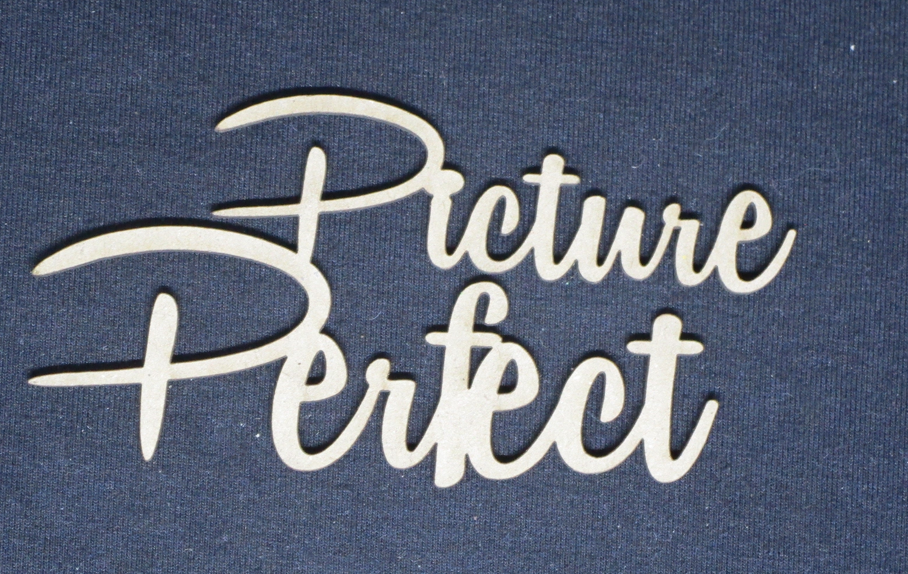 Chipboard Word Picture Perfect