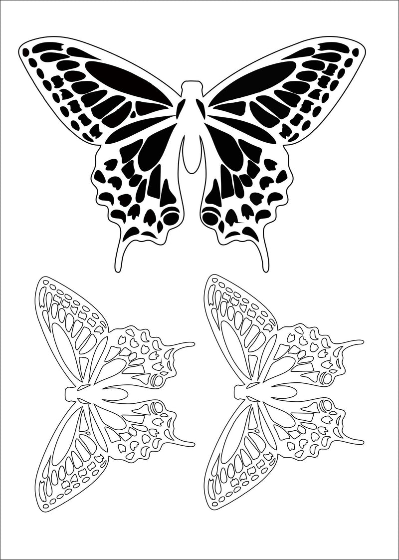 Acetate Transparency Bold Butterflys