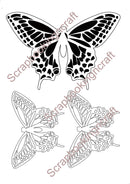 Acetate Transparency Bold Butterflys