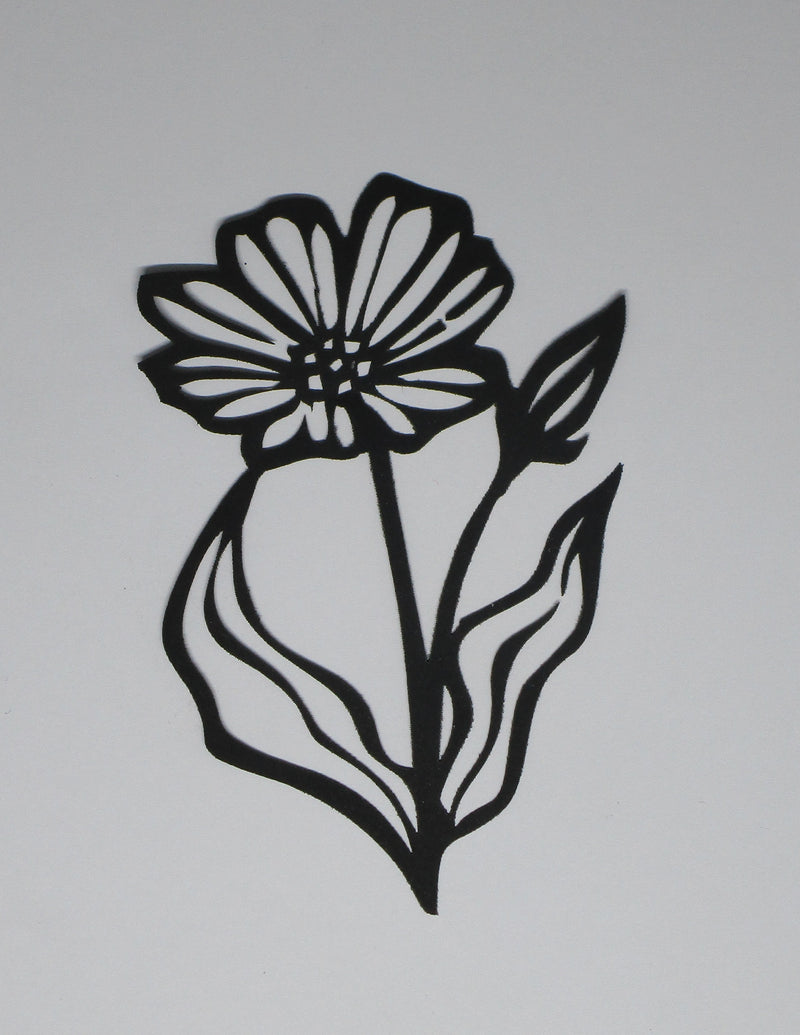 Black Cardstock Daisy Flower Single Flower Growing