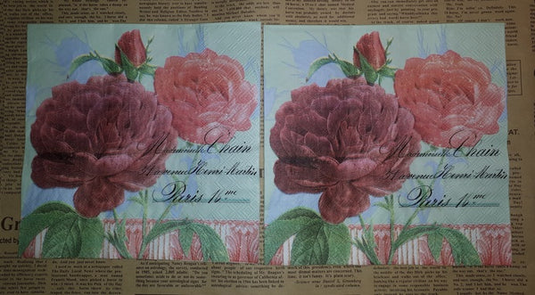 Paper Napkins (Pack of 2) Florals Roses, Paris Poem