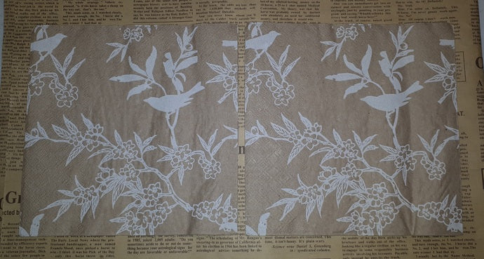 Paper Napkins (Pack of 2) Kraft and White Flowers and Birds