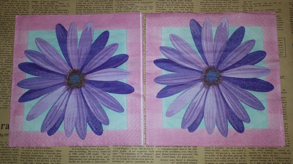 Paper Napkins (Pack of 2) Purple Daisy flower with Pink Border