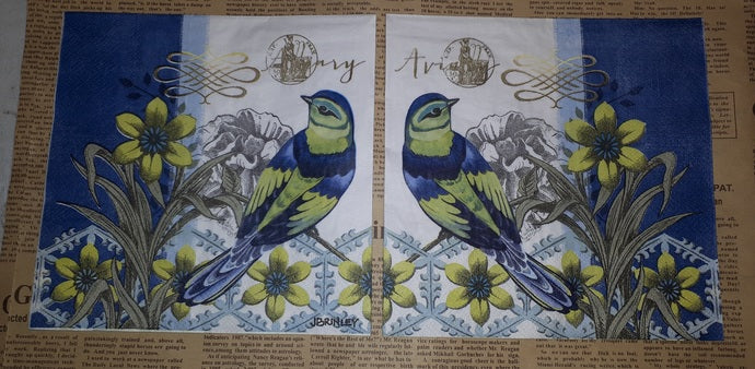 Paper Napkins (Pack of 2) Blue and Green Birds Flowers and Patterns