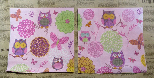 Paper Napkins (Pack of 2) Pink Owls Green and Pink Flowers Butterfly