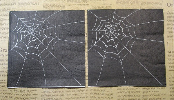 Paper Napkins (Pack of 2) Halloween Spider Web Black and White