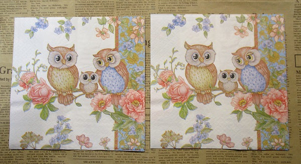 Paper Napkins (Pack of 2) Owls Roses and Flowers Owl Family