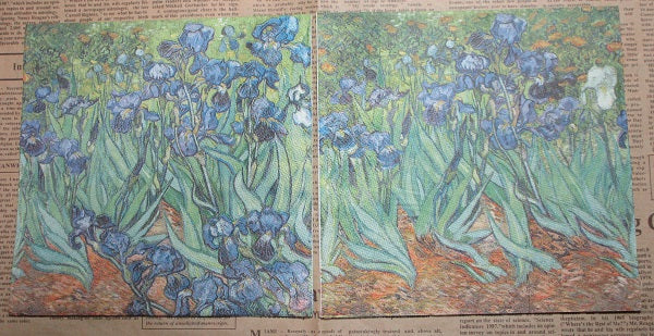 Paper Napkins (Pack of 2) Art Work Purple and Green Lily’s