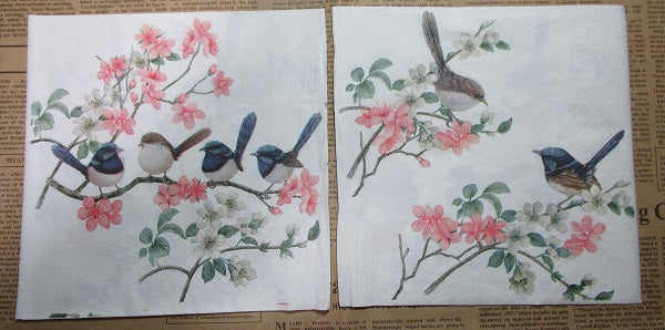 Paper Napkins (Pack of 2) Birds Blue Wrens Pink Flowers