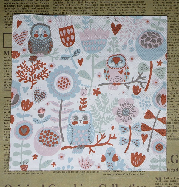 Paper Napkins (Pack of 2) Owls Pastel Blue and Brown Leaves Flowers