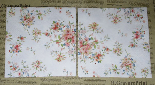 Paper Napkins (Pack of 2) Coral Dainty Flower Sprigs