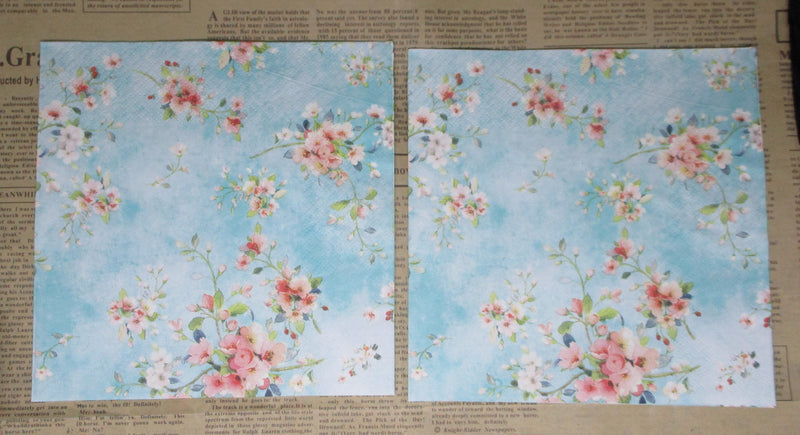 Paper Napkins (Pack of 2) Blue Sky with Tiny Flowers in Coral and White