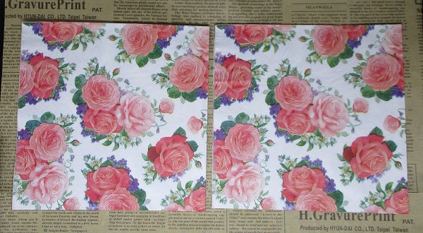 Paper Napkins (Pack of 2) Roses Coral and Light Apricot Flowers