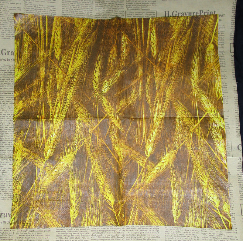 Paper Napkins (Pack of 2) Wheat Collage Straw