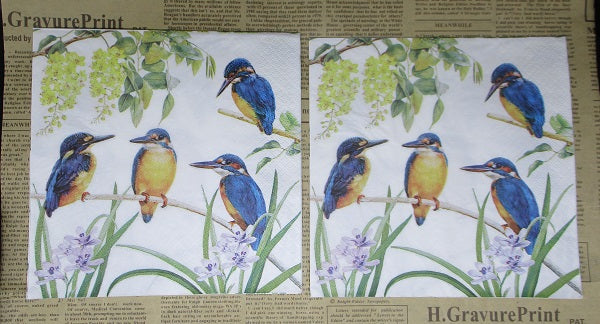 Paper Napkins (Pack of 2) Kingfisher Birds and Wattle Foliage