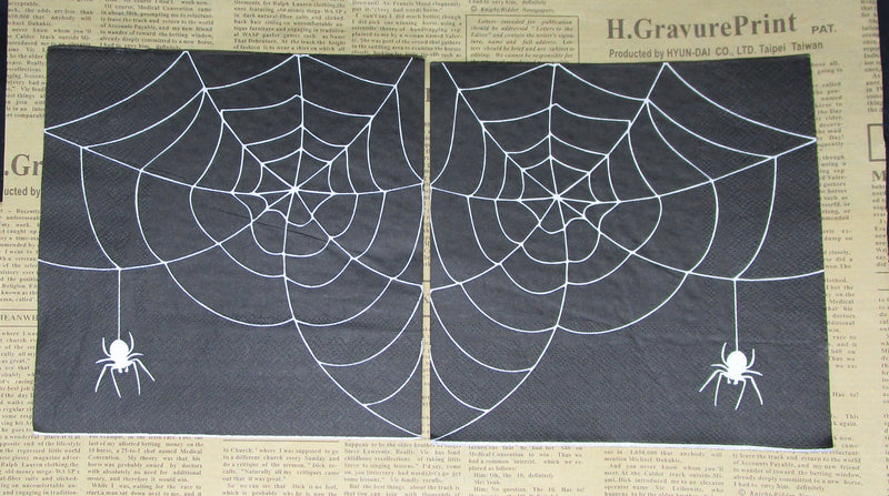 Paper Napkins (Pack of 2) Spiderweb with Spider Black n White