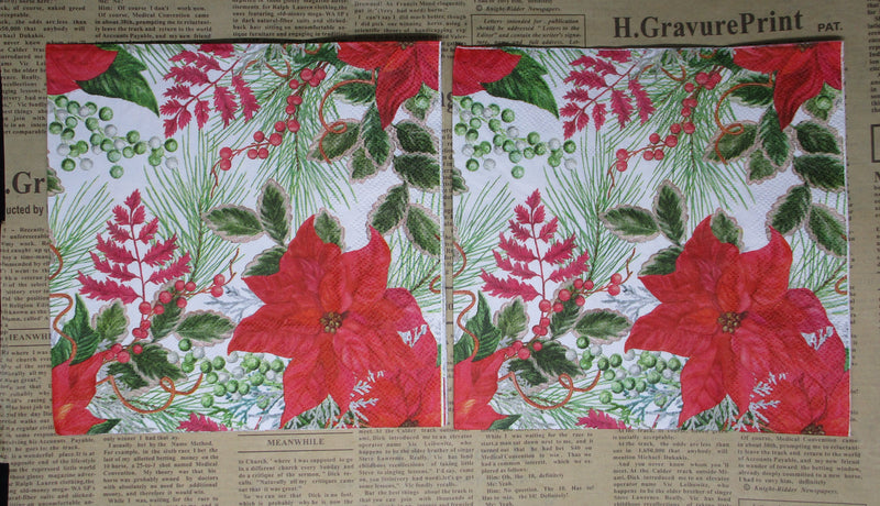 Paper Napkins (Pack of 2) Poinsettia and Foliage Red and Green