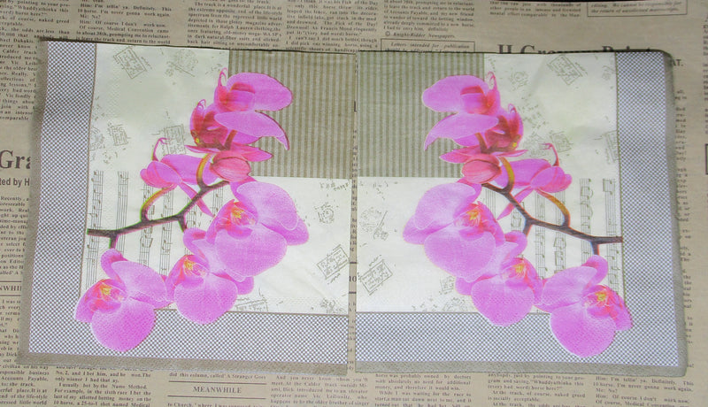 Paper Napkin (Pack of 2) Pink Orchid Music notes Postage Stamps Checked Border