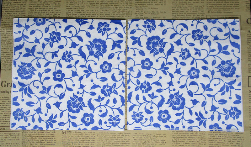 Paper Napkin (Pack of 2) Blue and white Small Vines and Flowers