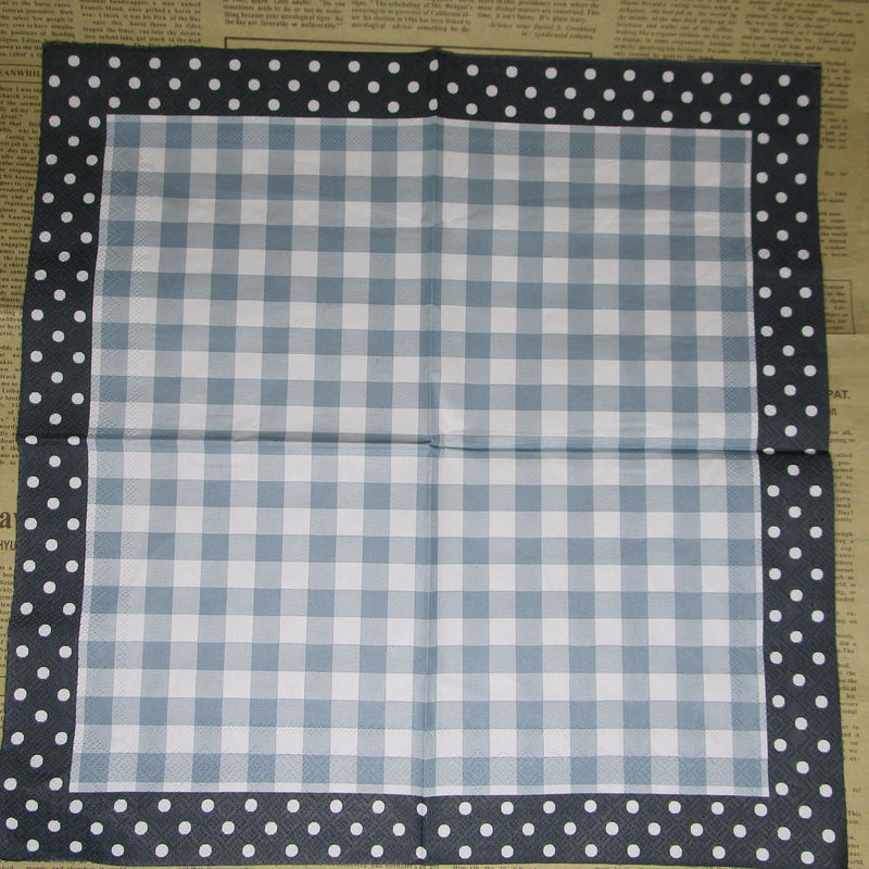 Paper Napkin (Pack of 2) Blue Picnic Pattern with Spots